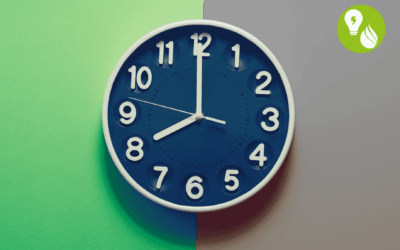 FASCE ORARIE DELL’ENERGIA